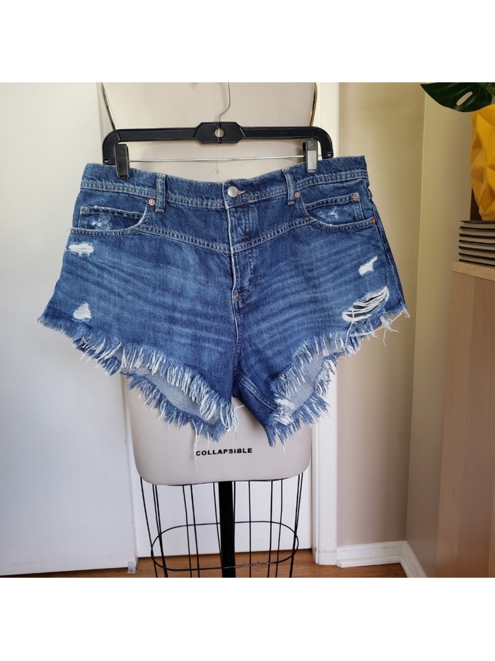 We The Free Hi-Low Shorts Size 32 NEW